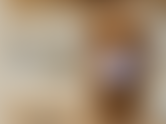 What am I paying for when purchasing a teddybear goldendoodle puppy? 