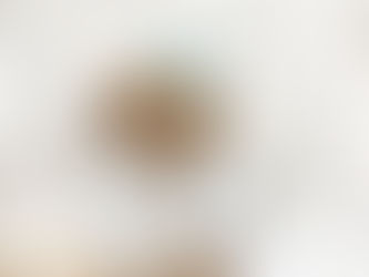 A Guide to Raising Teddybear Mini Goldendoodle Puppies