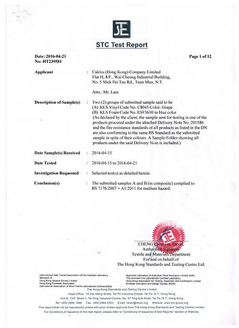 STC Test Report.jpg