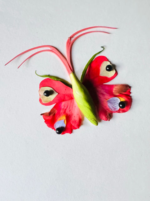 Butterfly made from the petals of Pride of Burma flower.