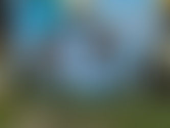 A lizard warrior stands before a large circular stone gate as a red dragon flies through it under a bright blue sky.