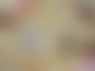 A stylized cartoon illustration of a purple winged blob-like creature and a raccoon standing together in a painterly, clover-filled field.