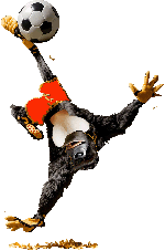 Gorilla Calcio sito.gif