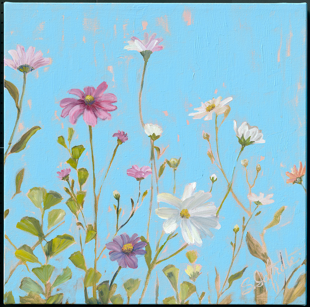 Wildflowers-2-by-Sandra-Iafrate
