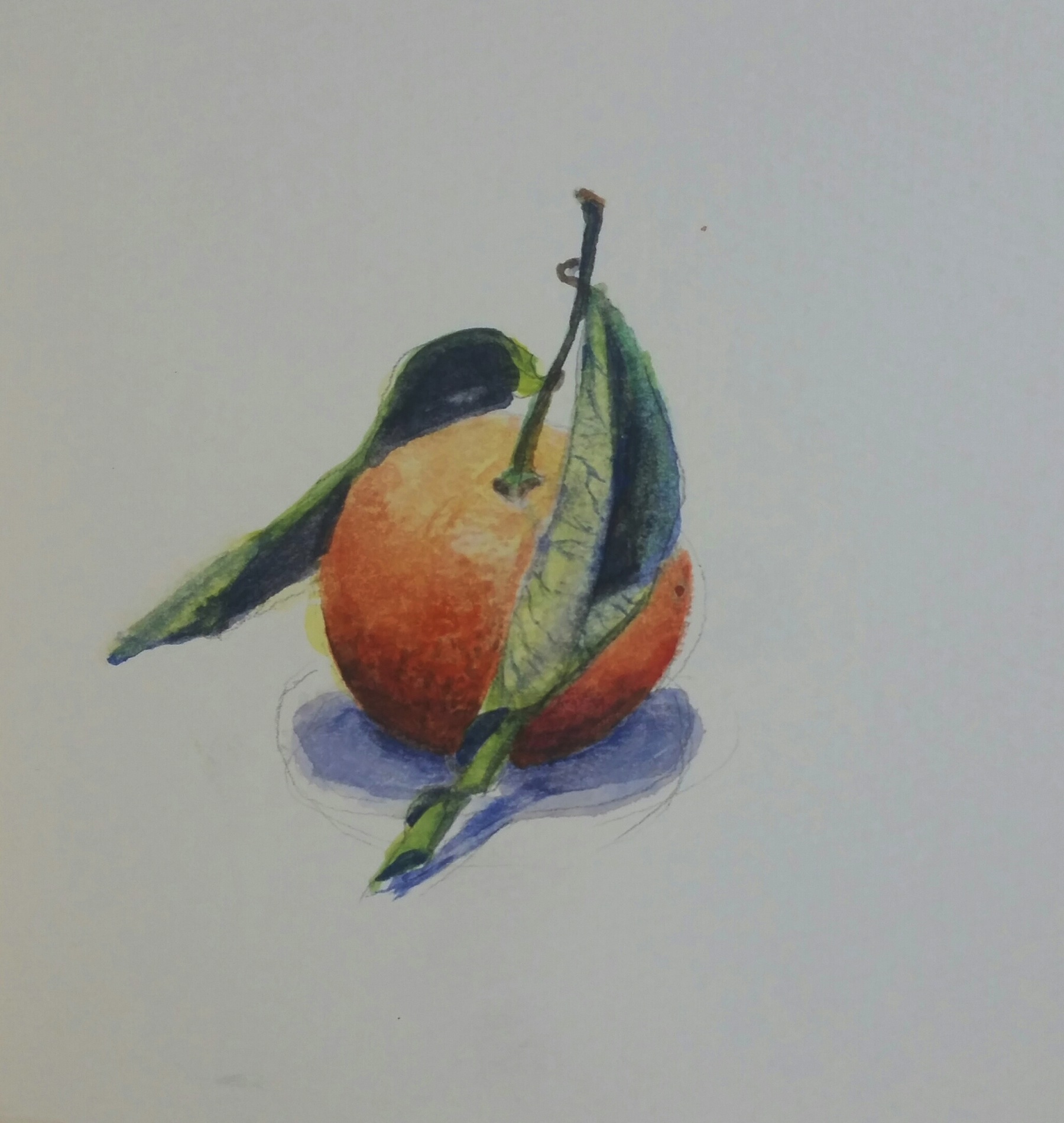 Mandarin