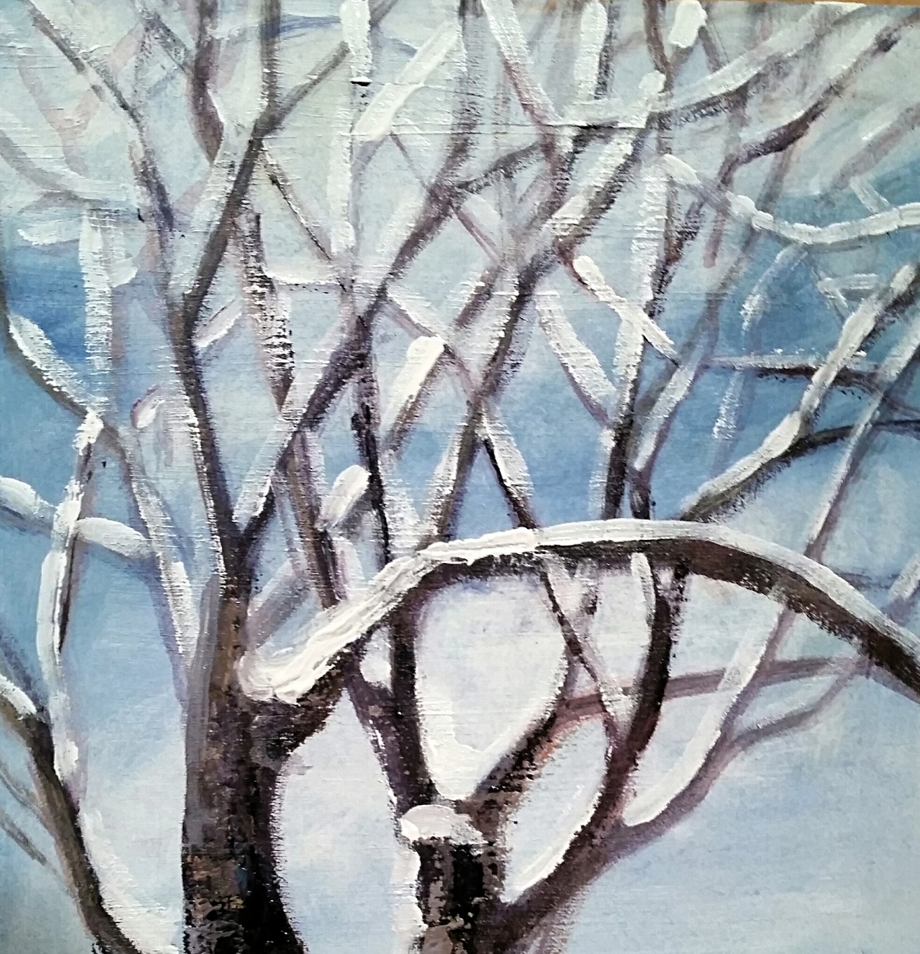 Snow on Tree Branches