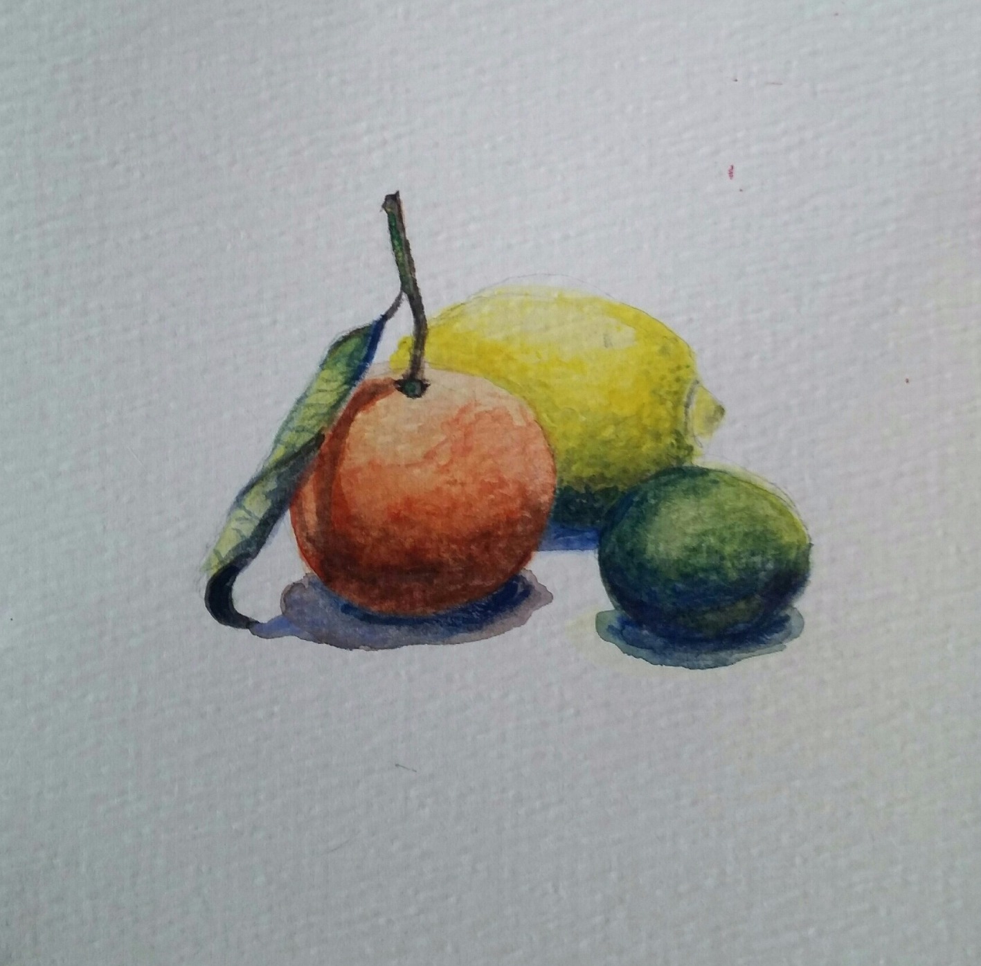Lemon, Mandarin and Lime