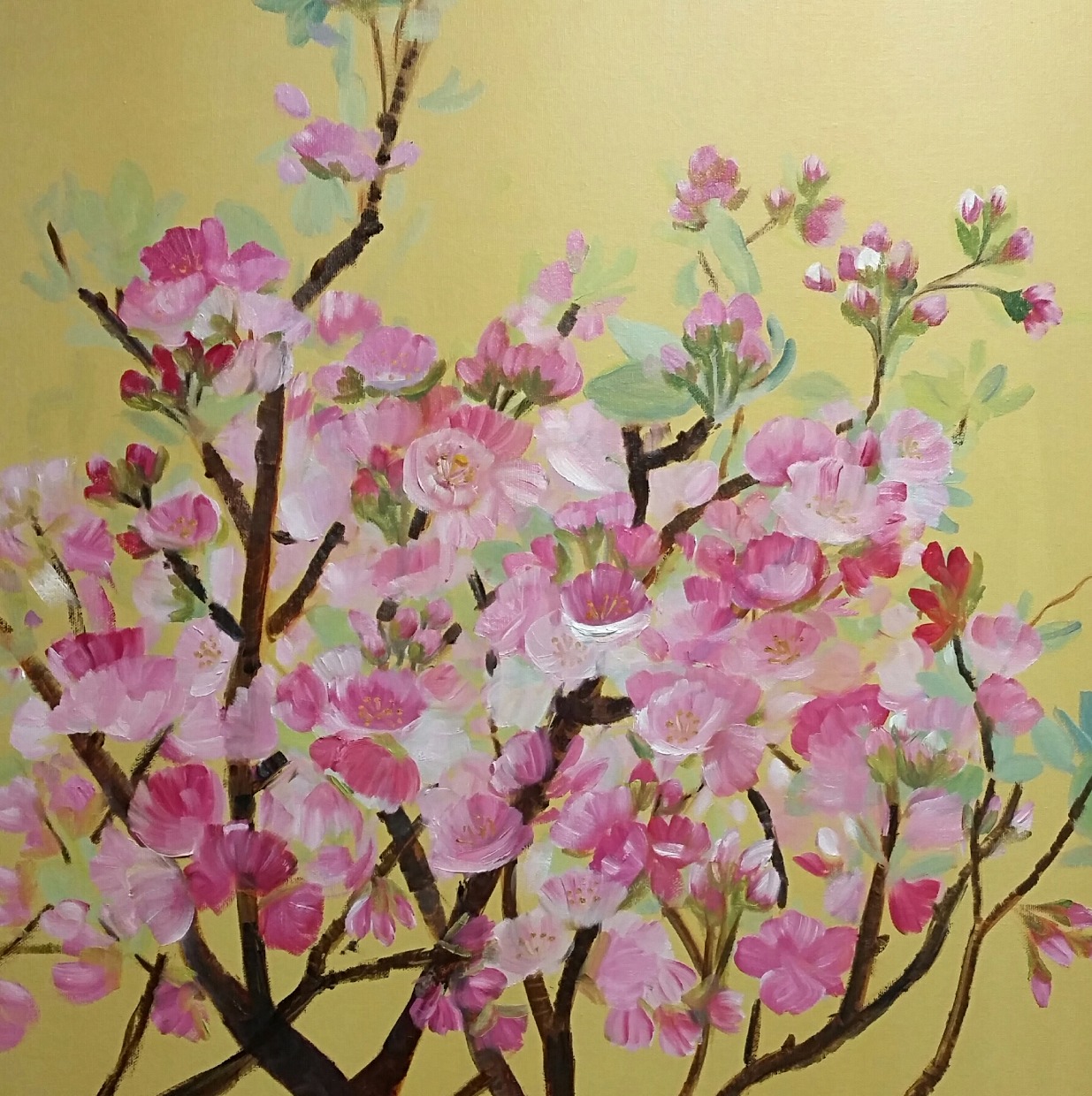 Cherry Blossoms on Yellow