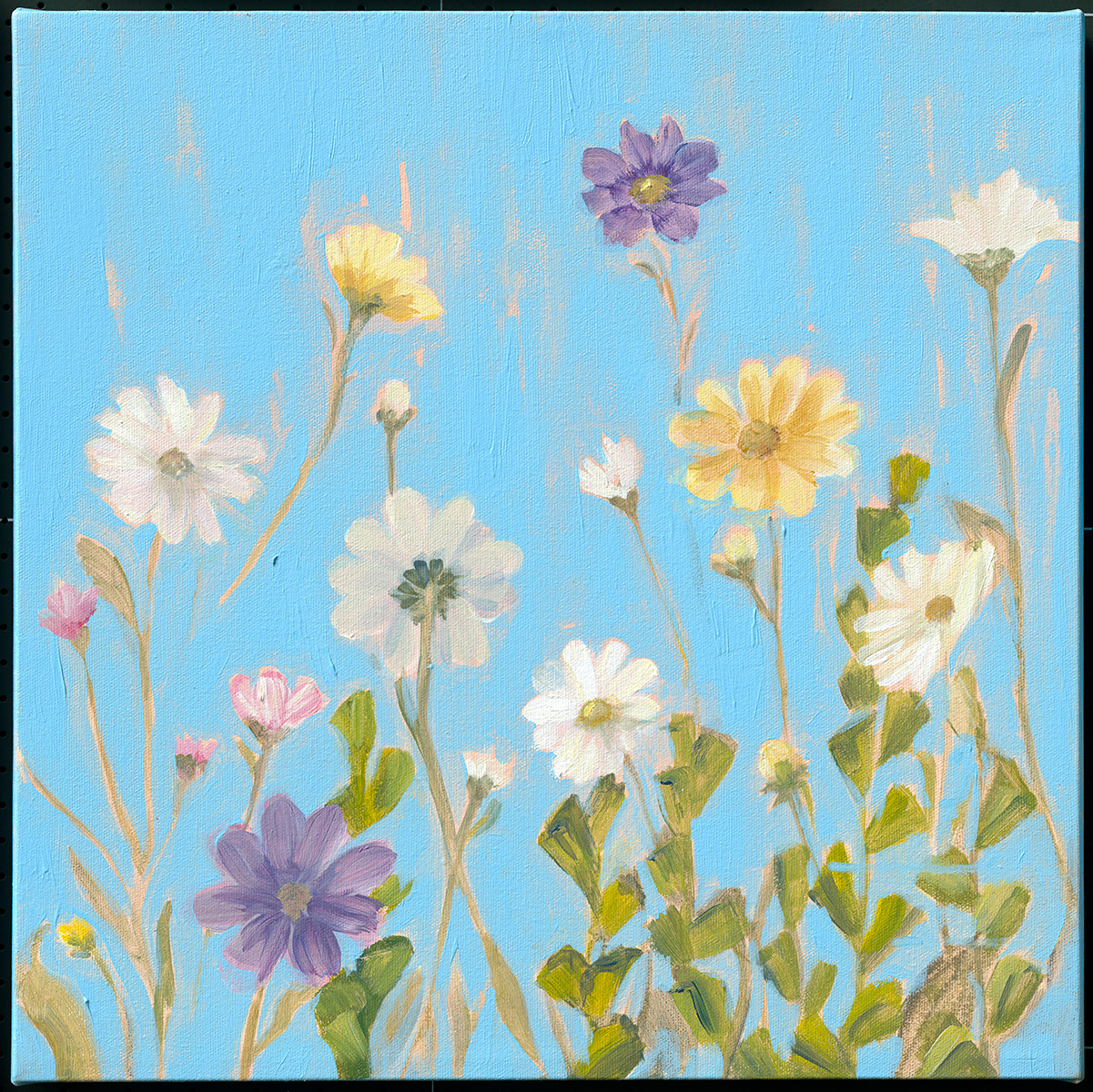 Wildflowers-3-by-Sandra-Iafrate