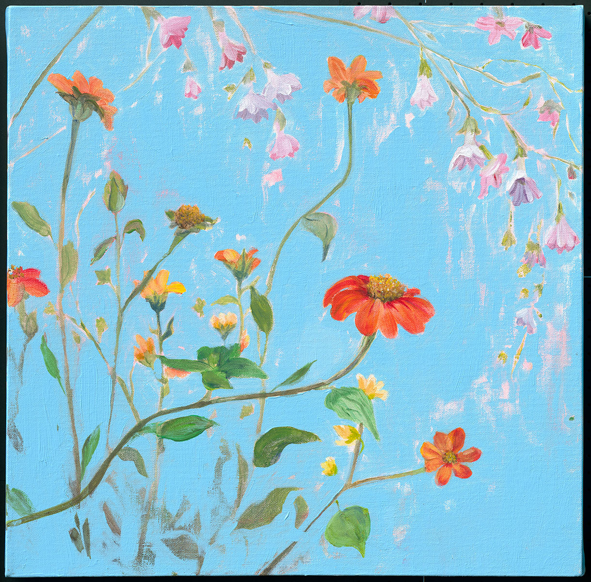 Wildflowers 4