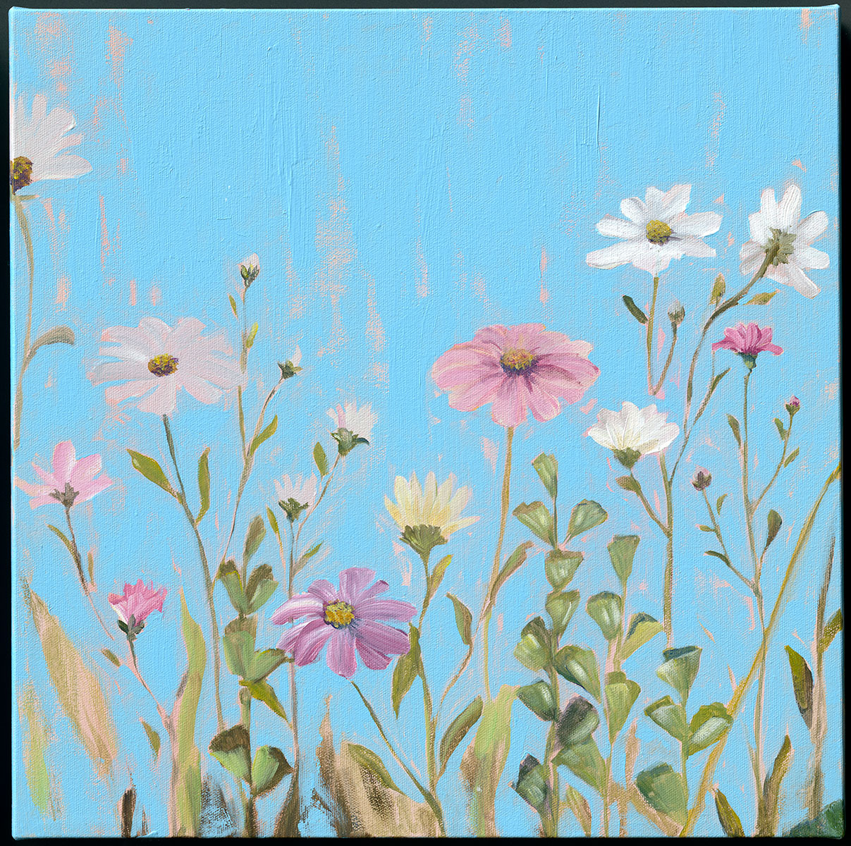 Wildflowers-4-by-Sandra-Iafrate