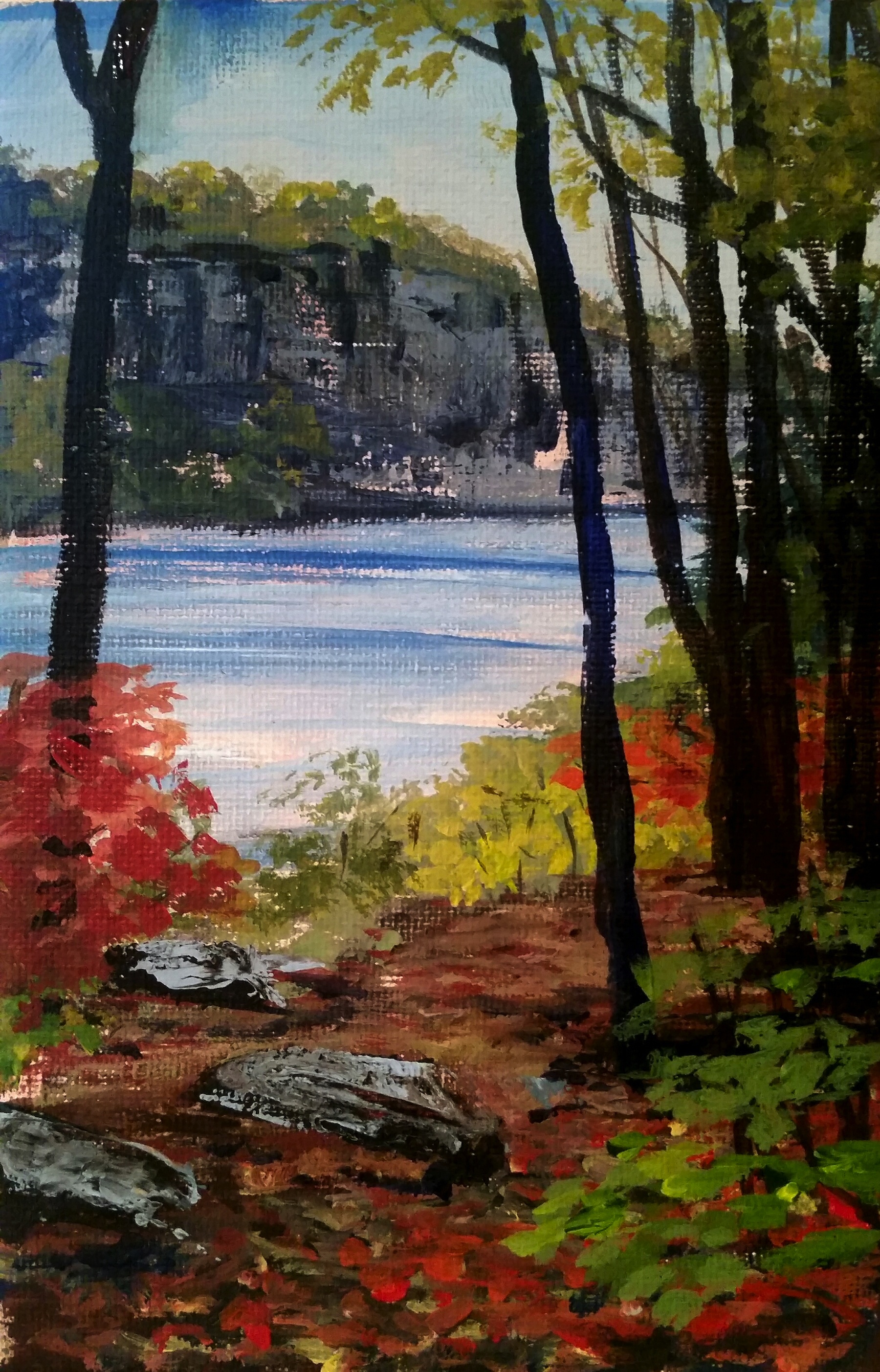 Niagara Gorge Trail 2