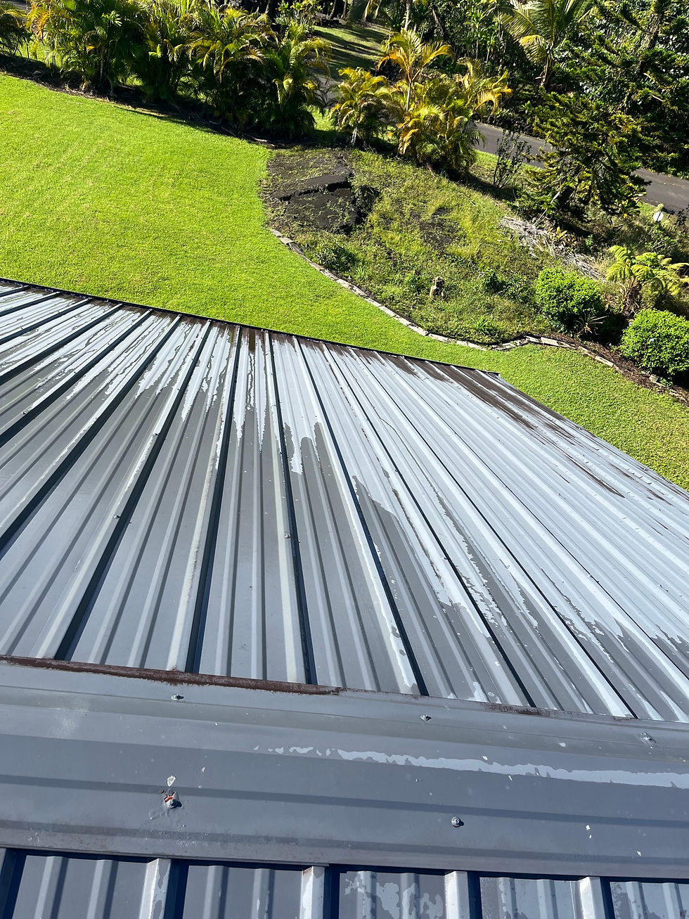 Roof painting service on a grey corrugated metal roof.
