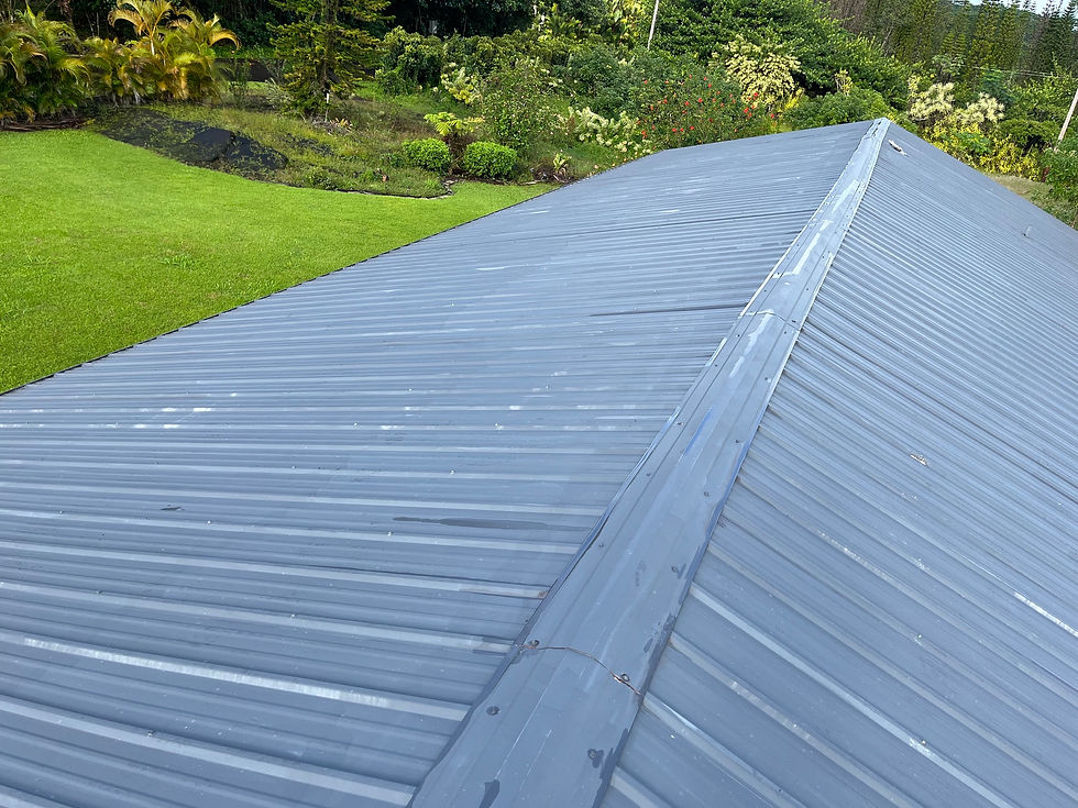 Finished exterior roof painting service on a metal roof