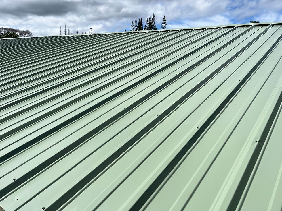 Freshly completed roof painting service on metal roof