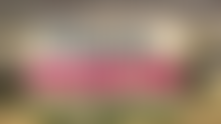 Focus on Remembering