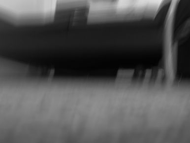 IMG_7517.jpeg