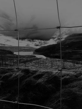 155EB245-01B5-499F-9C15-2DFDD40EC61D.jpeg