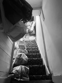 IMG_7394.jpeg