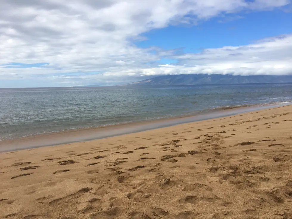 Aloha Paradise! And Adulthood...