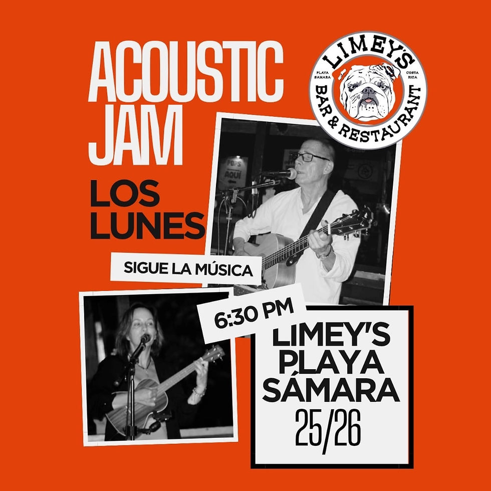 Acoustic Mondays with Alan Alonso @ Limey's Bar & Restaurant