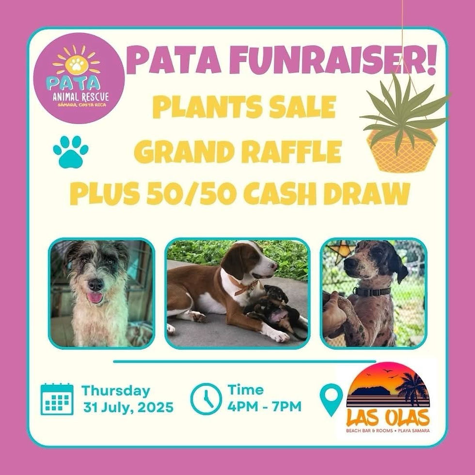 PATA Beachside “Fun-Raiser” @ Las Olas Beach Bar