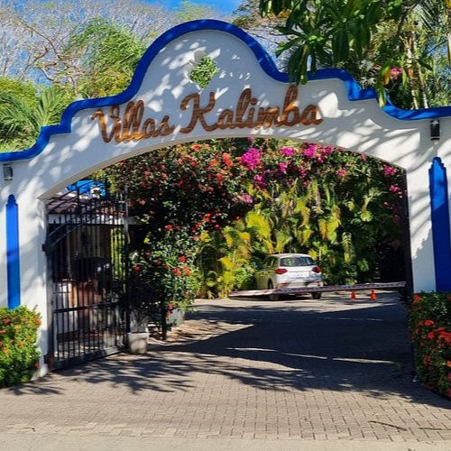 Ryan Hamilton LIVE @ Kalimba