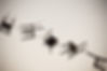Flying Chairs