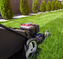 lawn-mower-PY2VDNK.jpg