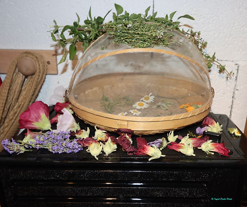 Drying herbs and flowers.jpg