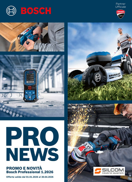 Promo Professional 01.2026