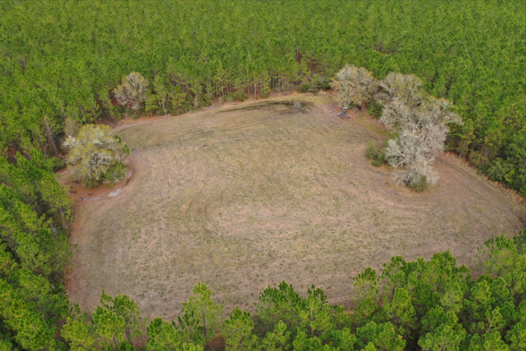 Florida Turkey Hunting Outfitter