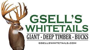 Screen Shot 2023-06-25 at 7.32.26 PM.png