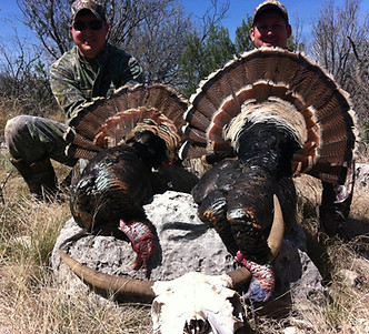 West Texas Turkey Hunting