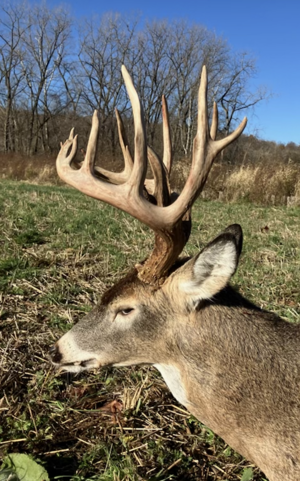 Deer Hunting Outfitter in Illinois