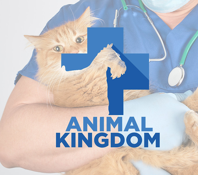 ANIMAL.jpg