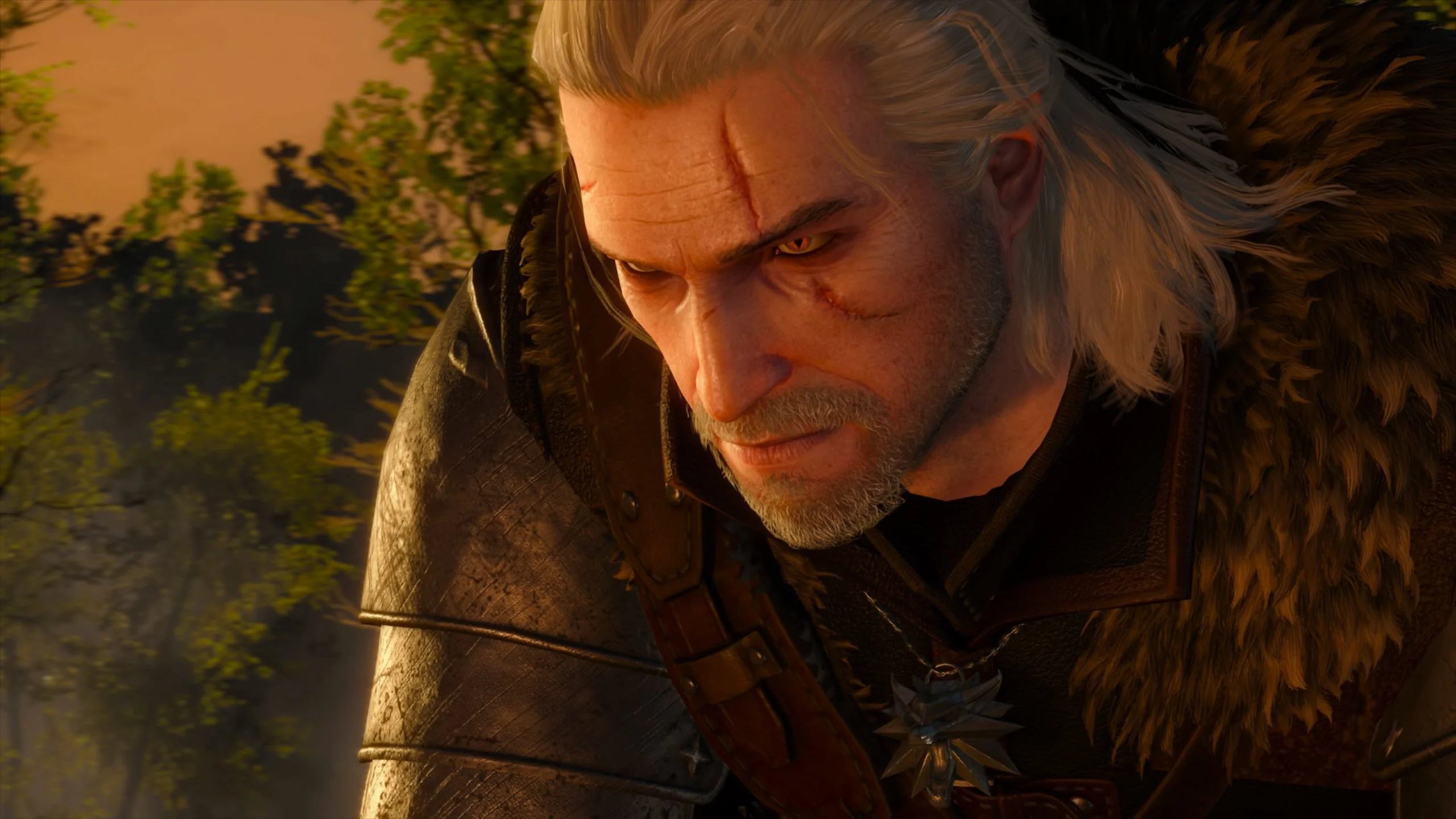 A screenshot of main character Gerald and a stage of his beard growth in a cutscene of The Witcher III