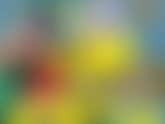 【イベント】森、道、市場