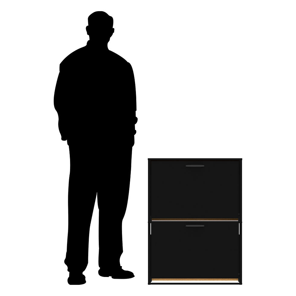 Miniatura: ZAPATERO MINIMALISTA -NEGRO LISO