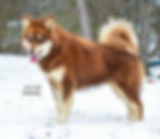 474148829_1157063393090633_8324877535256747405_n