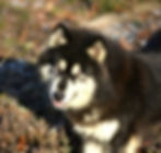 581936728_1416274960502807_6112564598463554340_n