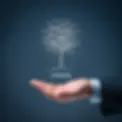lord-e eğitim danışmanlık (5).webp