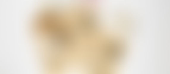 LET'S PARTY: DIY
HALLOWEEN