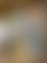 疫情下的旅遊業自找出路!不可不知道的最新趨勢