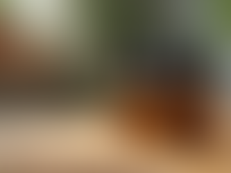 Your Stress Relief Oils Guide: Top Stress Relief Essential Oil Blends