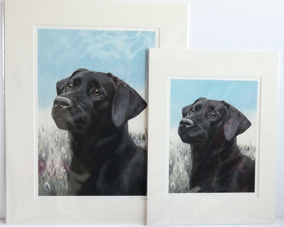 Loyal Friend Black Labrador Print