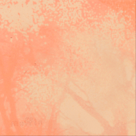 saku.gif