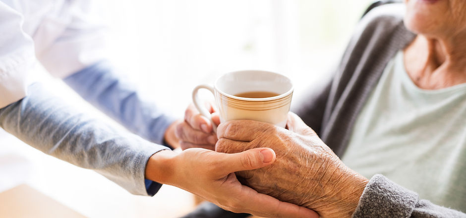 Health visitor and a senior woman during