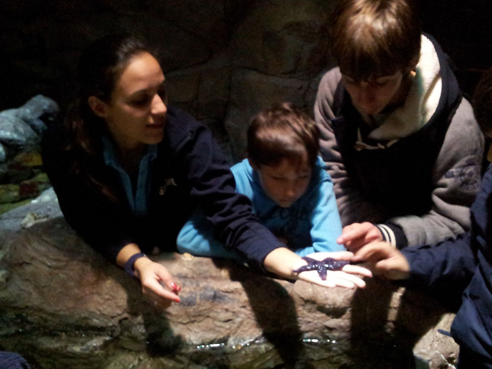 SeaLife