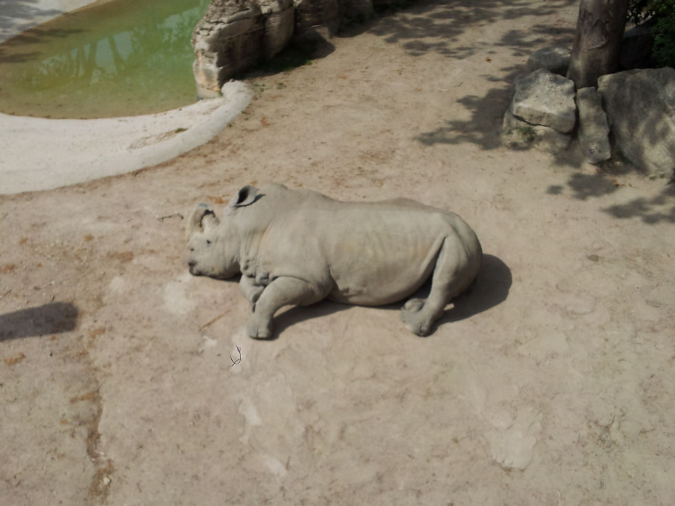 Zoo
